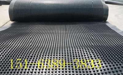 內(nèi)蒙古PVC網(wǎng)狀排水板廠家現(xiàn)貨充足，助力西藏防水材料市場發(fā)展